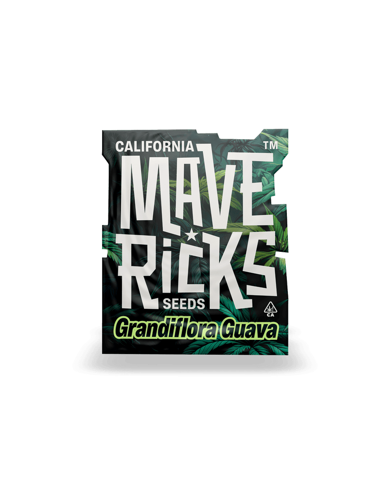 Grandiflora Guava, Фасовка: 5, изображение 2